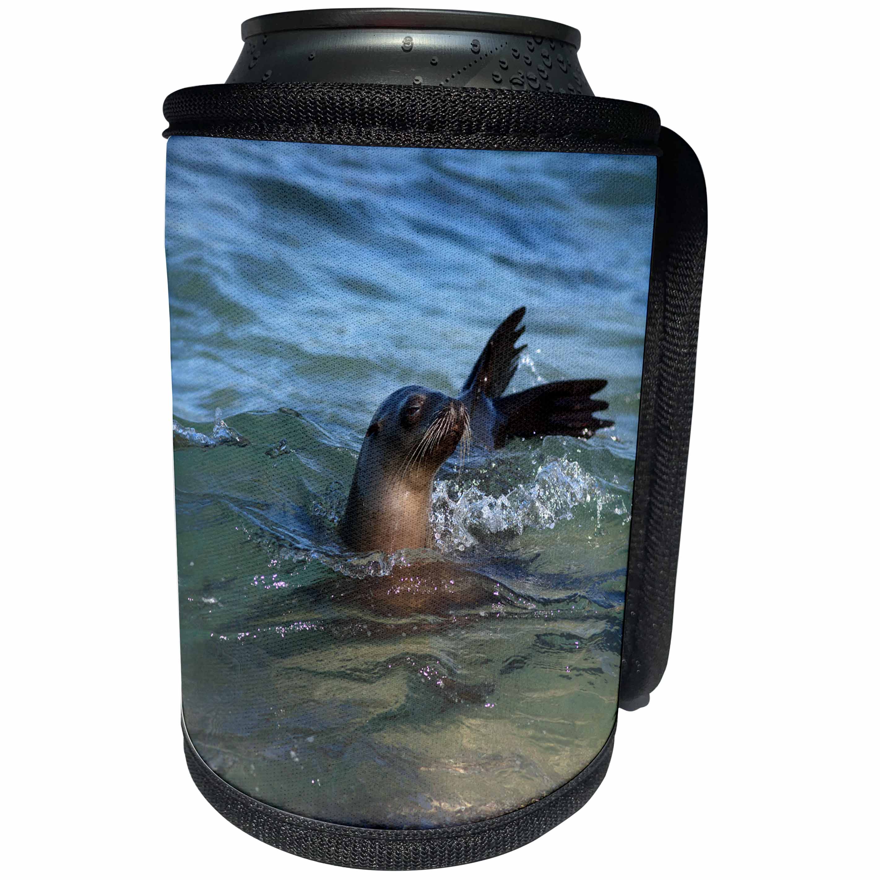 3dRose Danita Delimont - Seals - USA, California, La Jolla. Sea Lion in water. - Can Cooler Bottle Wrap (cc_278582)