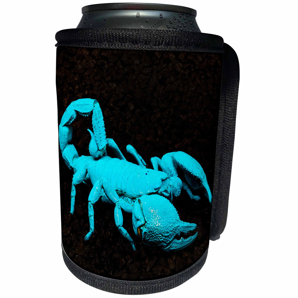 3dRose Danita Delimont - Scorpions - USA, California. Emperor scorpion under black light. - Can Cooler Bottle Wrap (cc_278586)