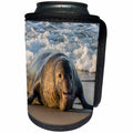 3dRose Danita Delimont - Seals - California, San Luis Obispo. Male northern elephant seal on beach. - Can Cooler Bottle Wrap (cc_278592)