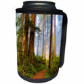 3dRose Danita Delimont - Forests - California, Del Norte State Park, trail leading into the woods - Can Cooler Bottle Wrap (cc_278598)