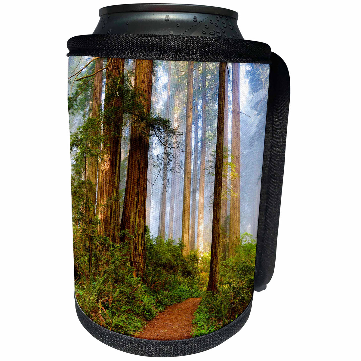 3dRose Danita Delimont - Forests - California, Del Norte State Park, trail leading into the woods - Can Cooler Bottle Wrap (cc_278598)