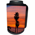 3dRose Danita Delimont - Sunsets - Solana Beach, San Diego Co., California. Palm trees at sunset - Can Cooler Bottle Wrap (cc_278601)
