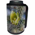 3dRose Danita Delimont - Flowers - California. Silver Cholla cactus in Anza Borrego Desert State Park - Can Cooler Bottle Wrap (cc_278605)