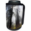 3dRose Danita Delimont - Forests - California. Foggy sun rays in the redwood forest, Redwood NP - Can Cooler Bottle Wrap (cc_278609)