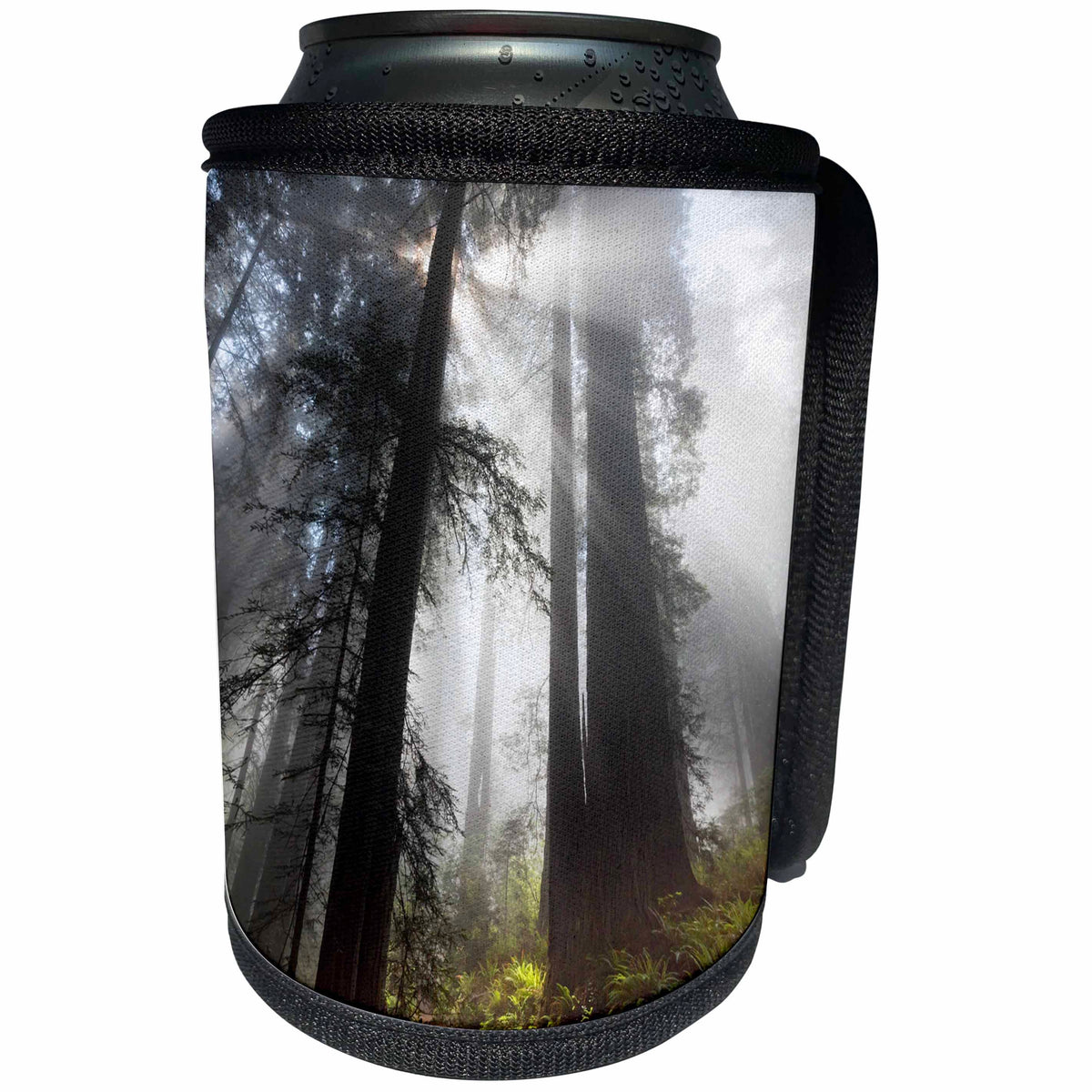 3dRose Danita Delimont - Forests - California. Foggy sun rays in the redwood forest, Redwood NP - Can Cooler Bottle Wrap (cc_278609)