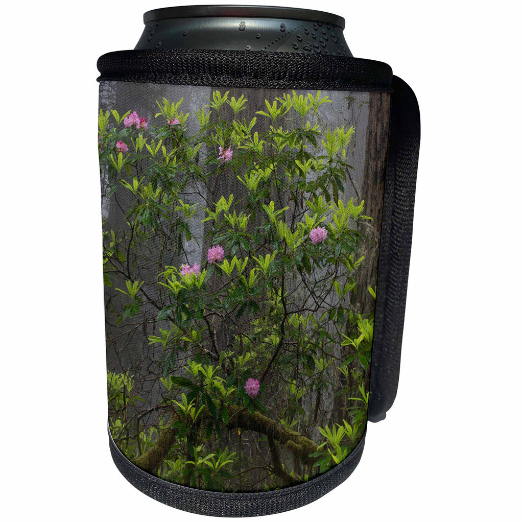 3dRose Danita Delimont - Forests - California. Rhododendron and redwood trees, Redwoods NP - Can Cooler Bottle Wrap (cc_278612)