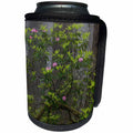 3dRose Danita Delimont - Forests - California. Rhododendron and redwood trees, Redwoods NP - Can Cooler Bottle Wrap (cc_278612)