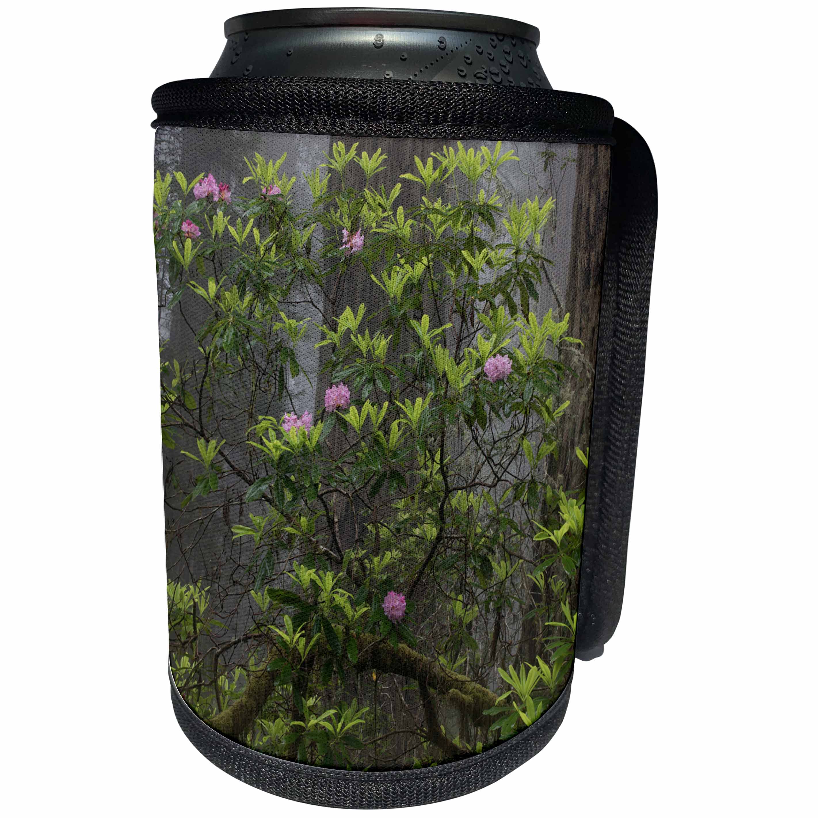 3dRose Danita Delimont - Forests - California. Rhododendron and redwood trees, Redwoods NP - Can Cooler Bottle Wrap (cc_278612)