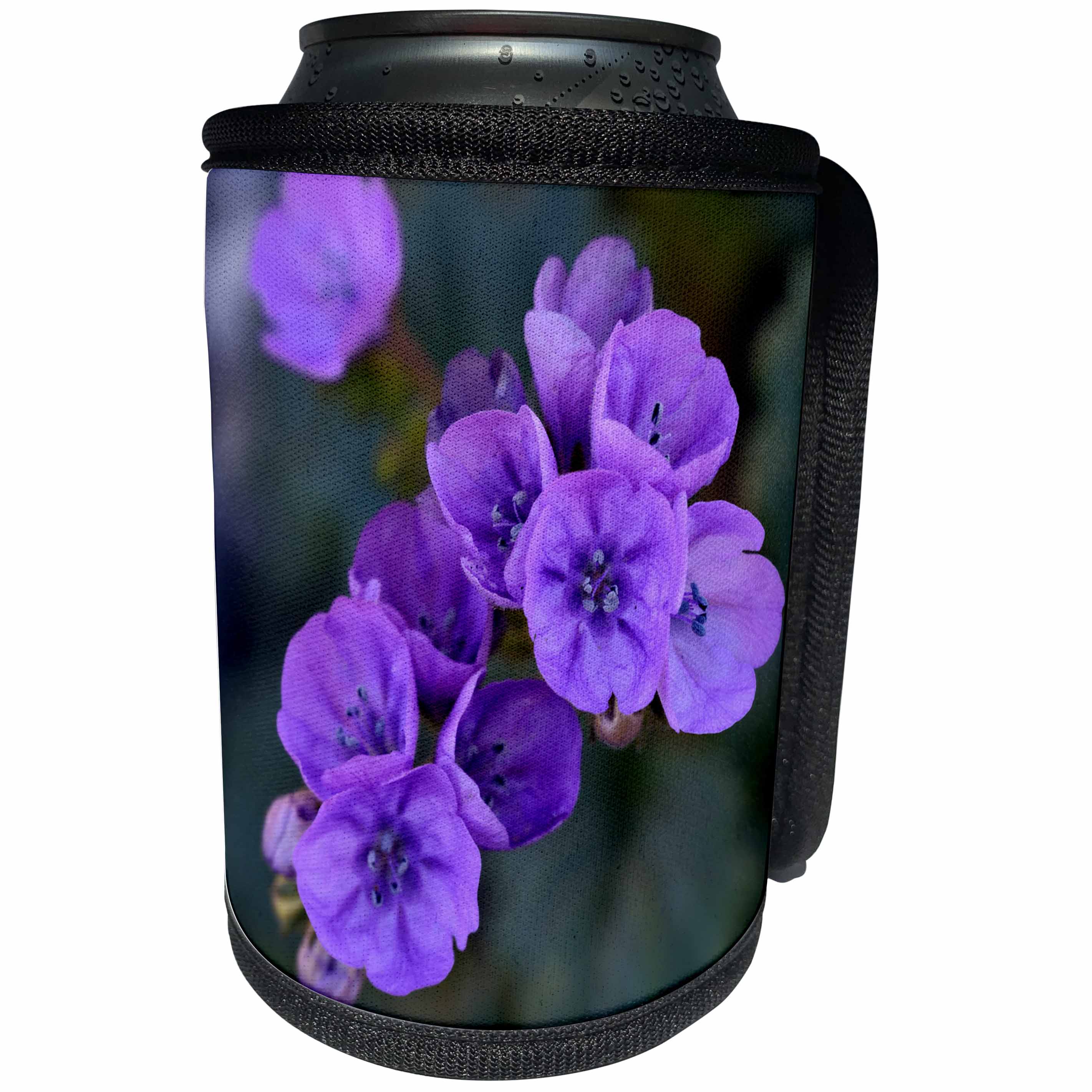 3dRose Danita Delimont - Flowers - California, Death Valley, Deep purple Notchleaf Phacelia wildflower. - Can Cooler Bottle Wrap (cc_278618)