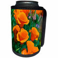 3dRose Danita Delimont - Flowers - California Poppies, Antelope Valley, California - Can Cooler Bottle Wrap (cc_278620)