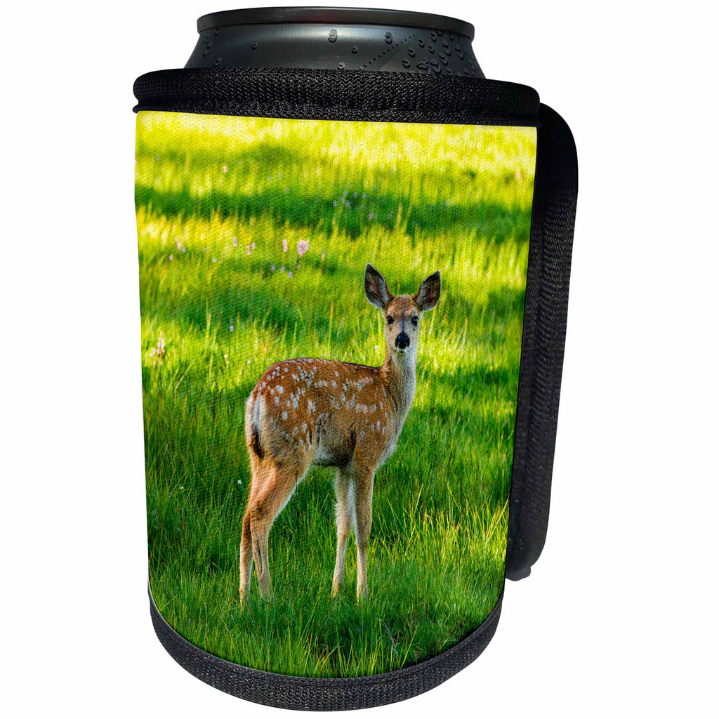 3dRose Danita Delimont - Baby animals - Young mule deer, Tuolumne Meadows, Yosemite NP, California - Can Cooler Bottle Wrap (cc_278629)