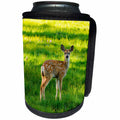 3dRose Danita Delimont - Baby animals - Young mule deer, Tuolumne Meadows, Yosemite NP, California - Can Cooler Bottle Wrap (cc_278629)