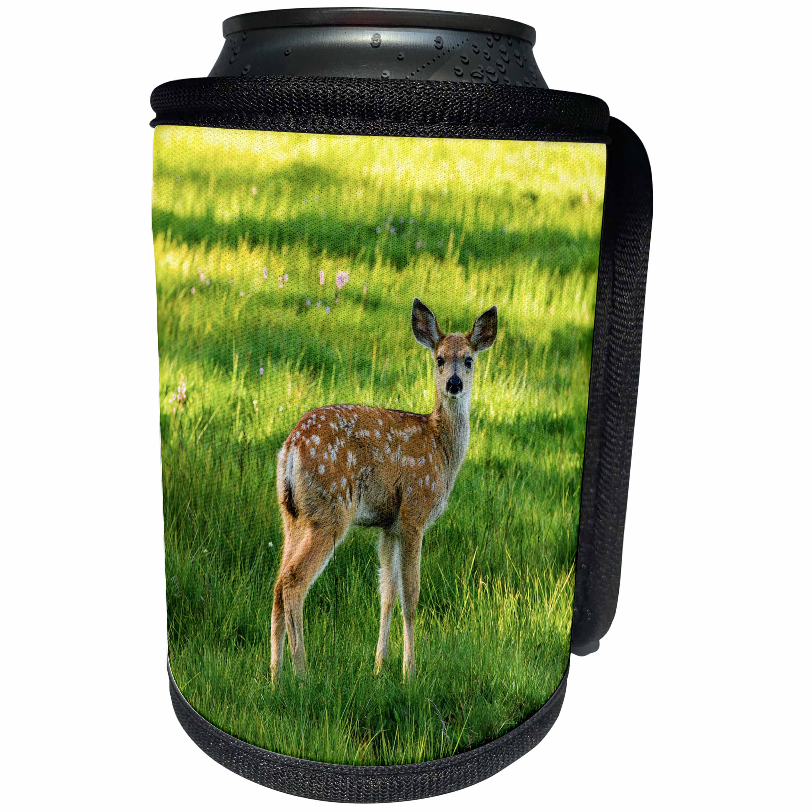 3dRose Danita Delimont - Baby animals - Young mule deer, Tuolumne Meadows, Yosemite NP, California - Can Cooler Bottle Wrap (cc_278629)
