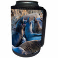 3dRose Danita Delimont - Seals - Northern elephant seals, San Simeon, California - Can Cooler Bottle Wrap (cc_278639)
