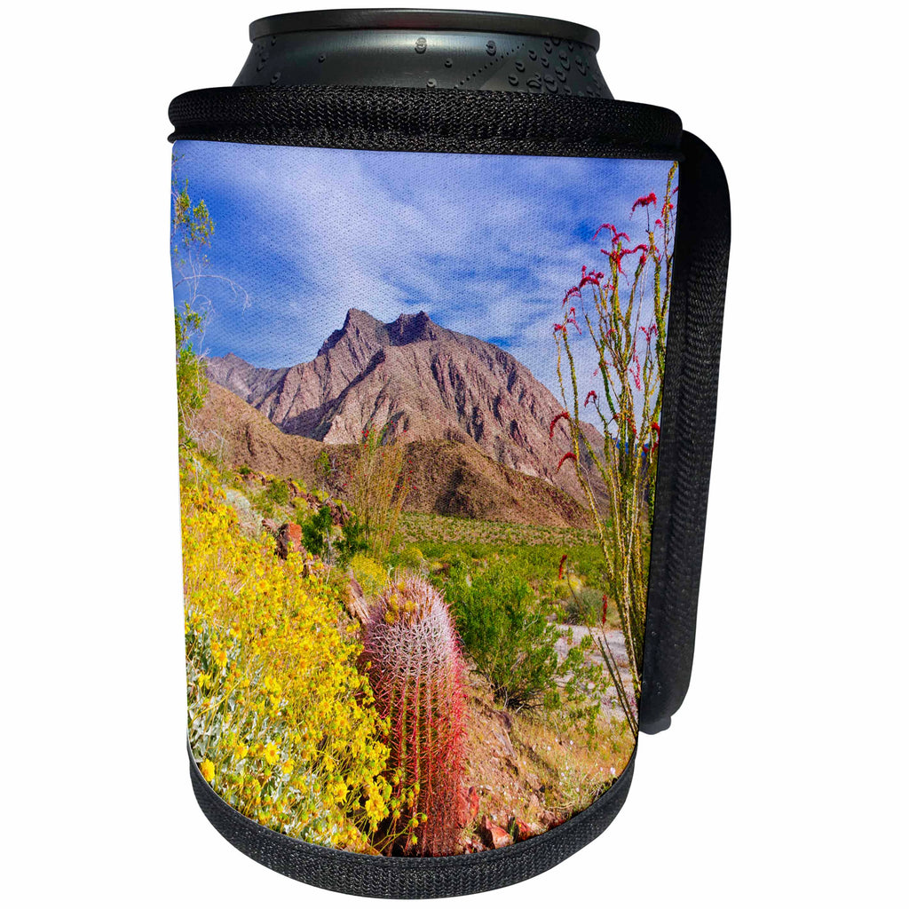 3dRose Danita Delimont - Deserts - Desert Landscape, Anza Borrego Desert State Park, California - Can Cooler Bottle Wrap (cc_278645)