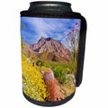 3dRose Danita Delimont - Deserts - Desert Landscape, Anza Borrego Desert State Park, California - Can Cooler Bottle Wrap (cc_278645)