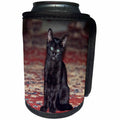 3dRose Danita Delimont - Cats - Curious black Kitten - Can Cooler Bottle Wrap (cc_278672)