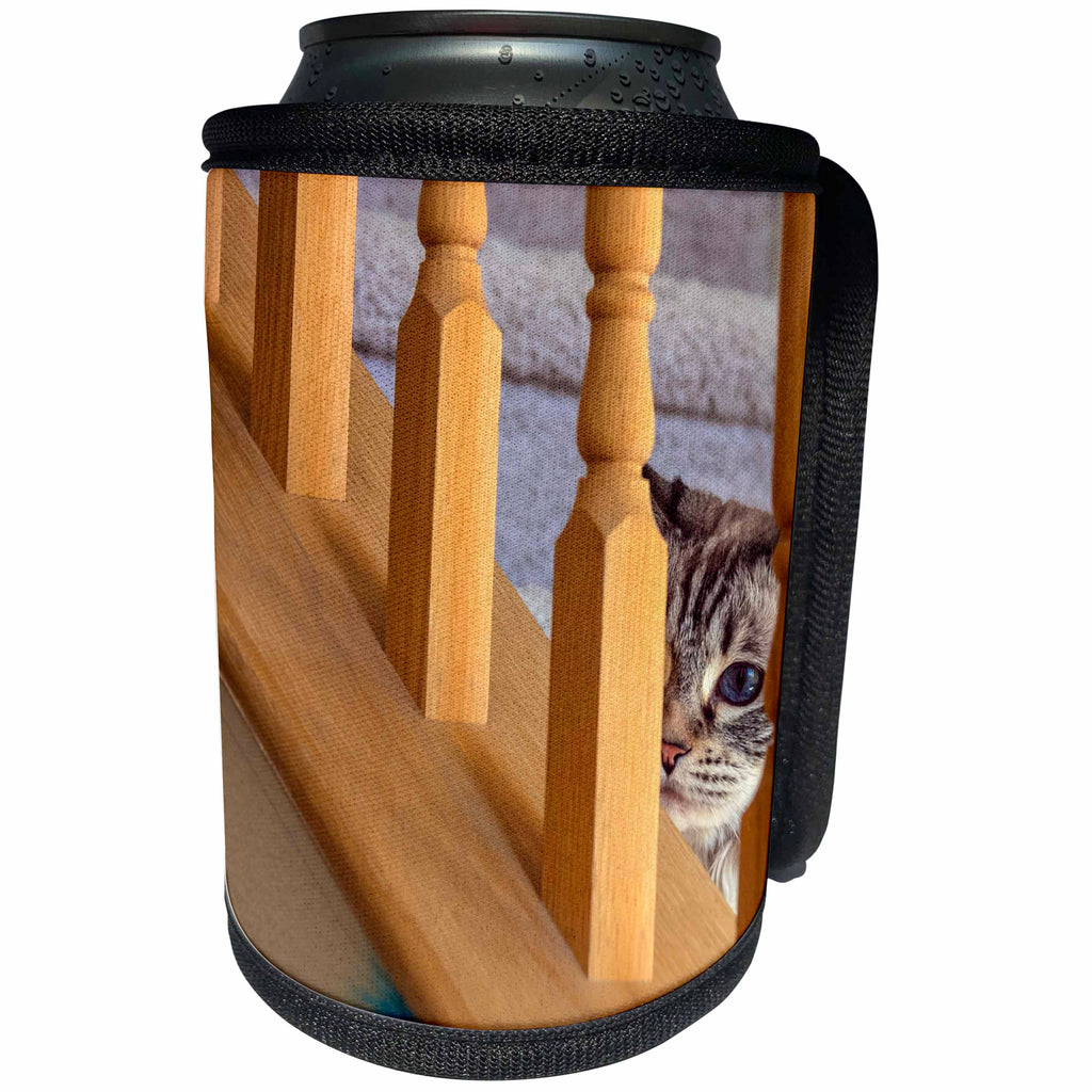 3dRose Danita Delimont - Cats - I spy a Cat. - Can Cooler Bottle Wrap (cc_278677)