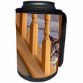 3dRose Danita Delimont - Cats - I spy a Cat. - Can Cooler Bottle Wrap (cc_278677)