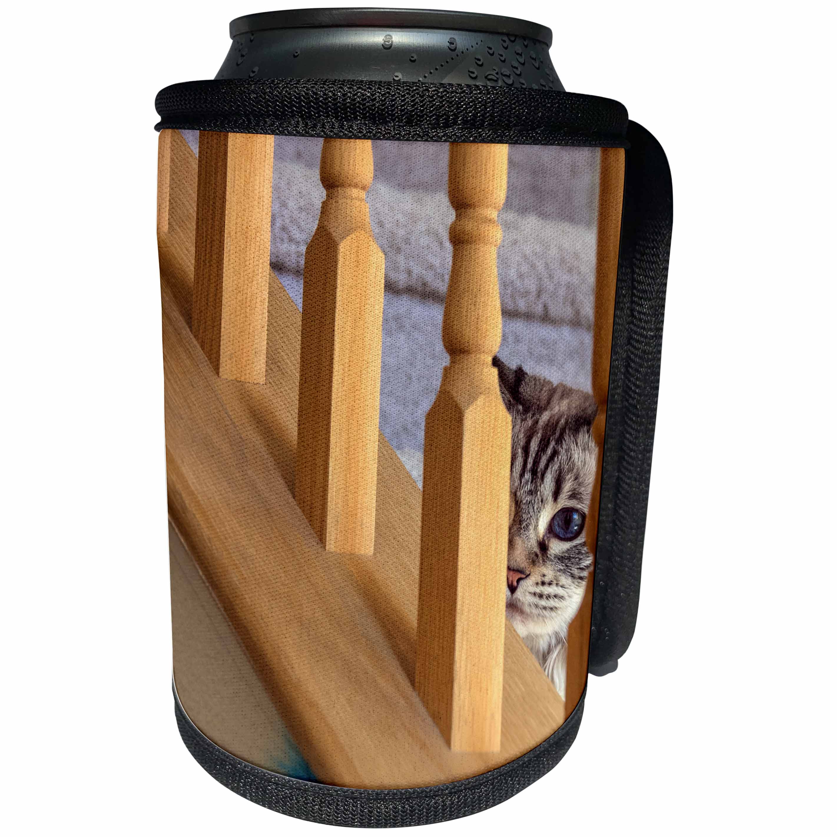 3dRose Danita Delimont - Cats - I spy a Cat. - Can Cooler Bottle Wrap (cc_278677)