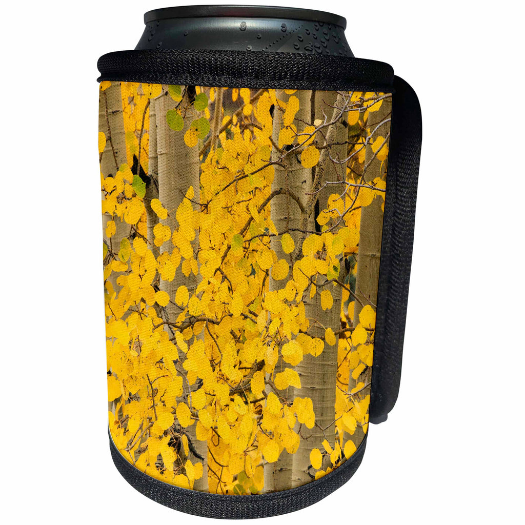 3dRose Danita Delimont - Forests - Autumn aspen leaves and tree trunks, Uncompahgre NF, Colorado - Can Cooler Bottle Wrap (cc_278681)