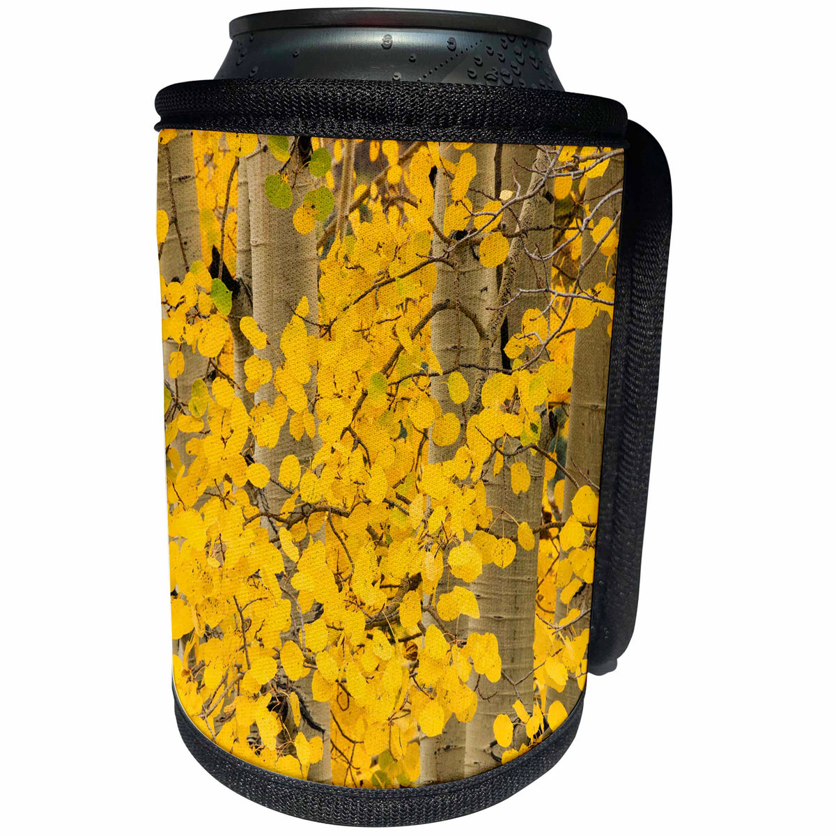 3dRose Danita Delimont - Forests - Autumn aspen leaves and tree trunks, Uncompahgre NF, Colorado - Can Cooler Bottle Wrap (cc_278681)