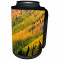 3dRose Danita Delimont - Forests - Autumn, aspen trees on mountain slope, Crystal Lake, Ouray, Colorado - Can Cooler Bottle Wrap (cc_278682)