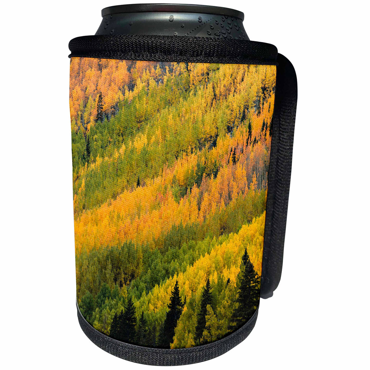 3dRose Danita Delimont - Forests - Autumn, aspen trees on mountain slope, Crystal Lake, Ouray, Colorado - Can Cooler Bottle Wrap (cc_278682)