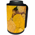 3dRose Danita Delimont - Autumn - Pattern of fallen yellow aspen leaves, San Juan Mountains, Colorado - Can Cooler Bottle Wrap (cc_278689)