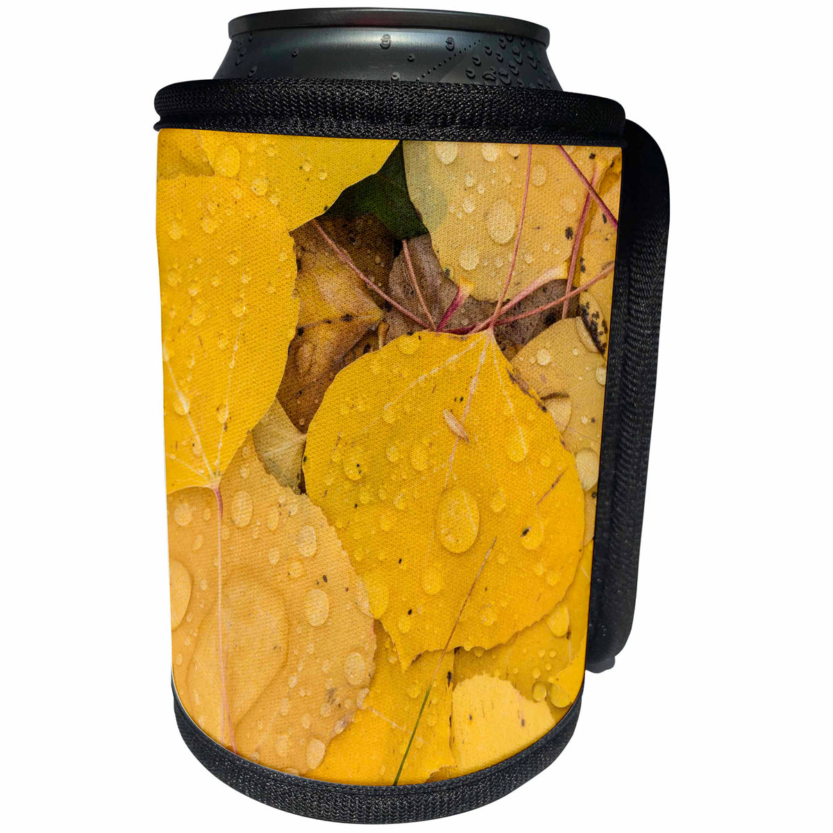 3dRose Danita Delimont - Autumn - Pattern of fallen yellow aspen leaves, San Juan Mountains, Colorado - Can Cooler Bottle Wrap (cc_278689)