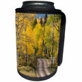 3dRose Danita Delimont - Forests - Rural road through golden aspens in fall, Uncompahgre NF, Colorado - Can Cooler Bottle Wrap (cc_278691)