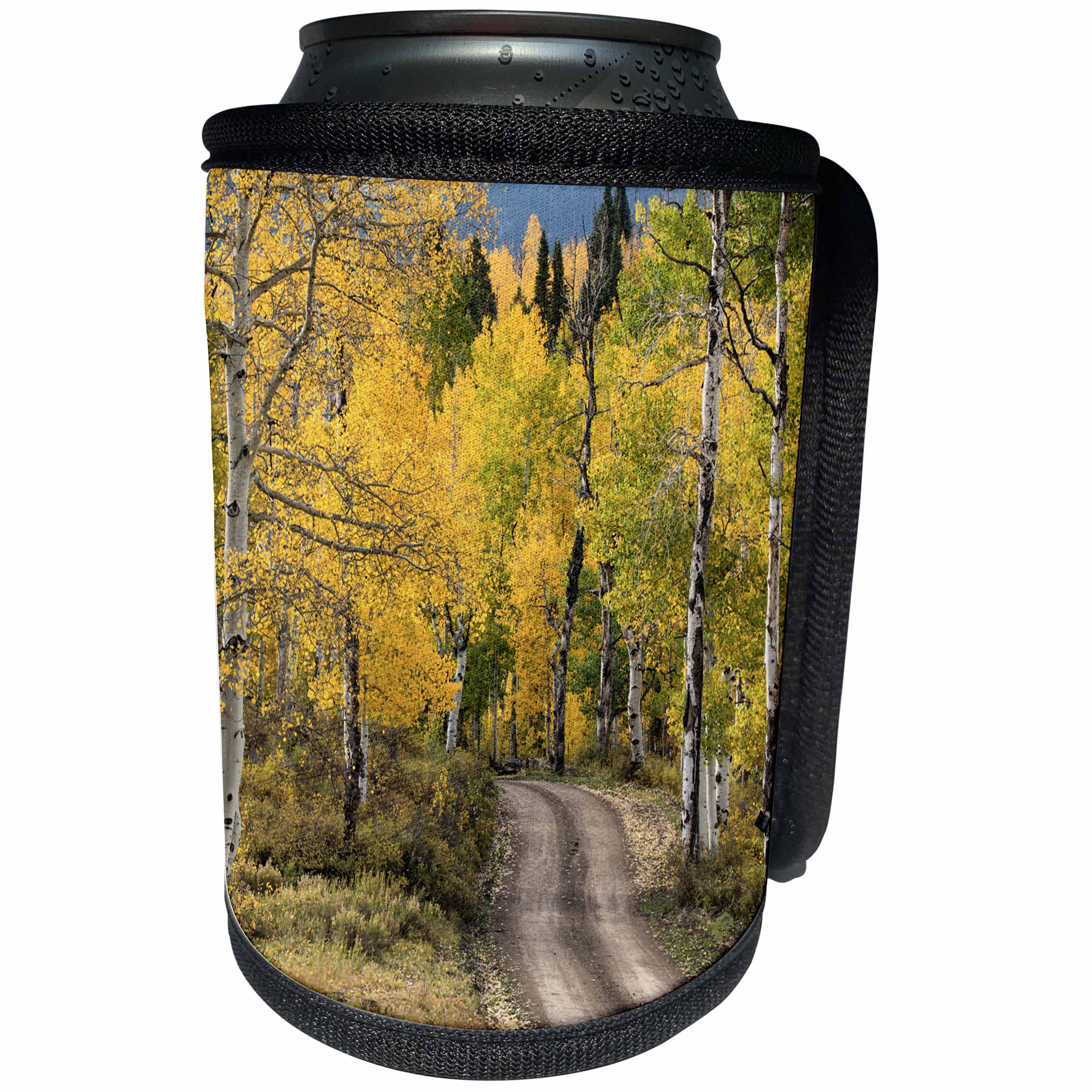 3dRose Danita Delimont - Forests - Rural road through golden aspens in fall, Uncompahgre NF, Colorado - Can Cooler Bottle Wrap (cc_278691)
