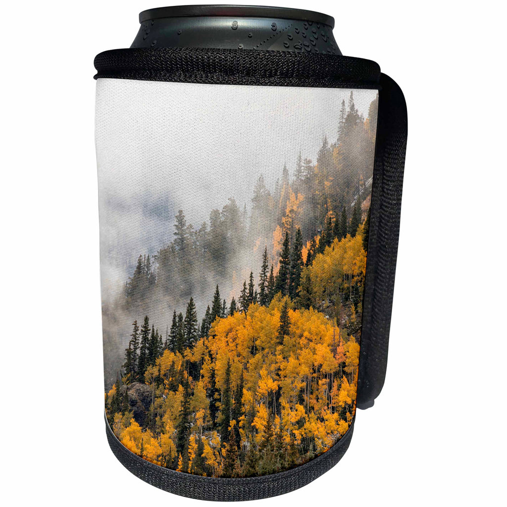 3dRose Danita Delimont - Forests - Autumn aspen trees in mist on mountain at sunrise, Ouray, Colorado - Can Cooler Bottle Wrap (cc_278694)