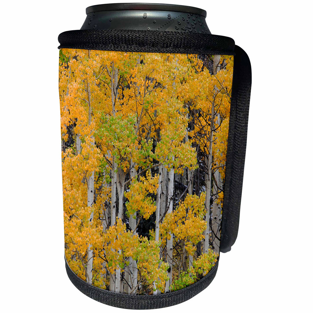 3dRose Danita Delimont - Forests - Autumn aspen tree pattern on mountain slope, Ouray, Colorado - Can Cooler Bottle Wrap (cc_278695)