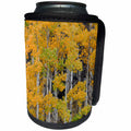 3dRose Danita Delimont - Forests - Autumn aspen tree pattern on mountain slope, Ouray, Colorado - Can Cooler Bottle Wrap (cc_278695)