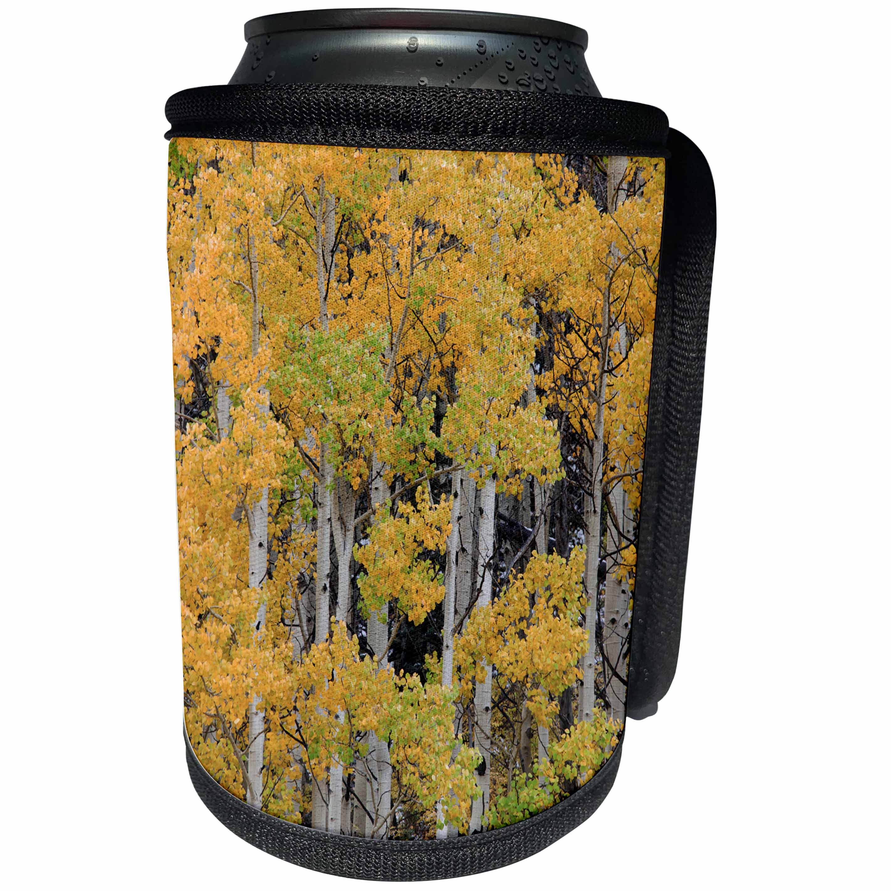 3dRose Danita Delimont - Forests - Autumn aspen tree pattern on mountain slope, Ouray, Colorado - Can Cooler Bottle Wrap (cc_278695)