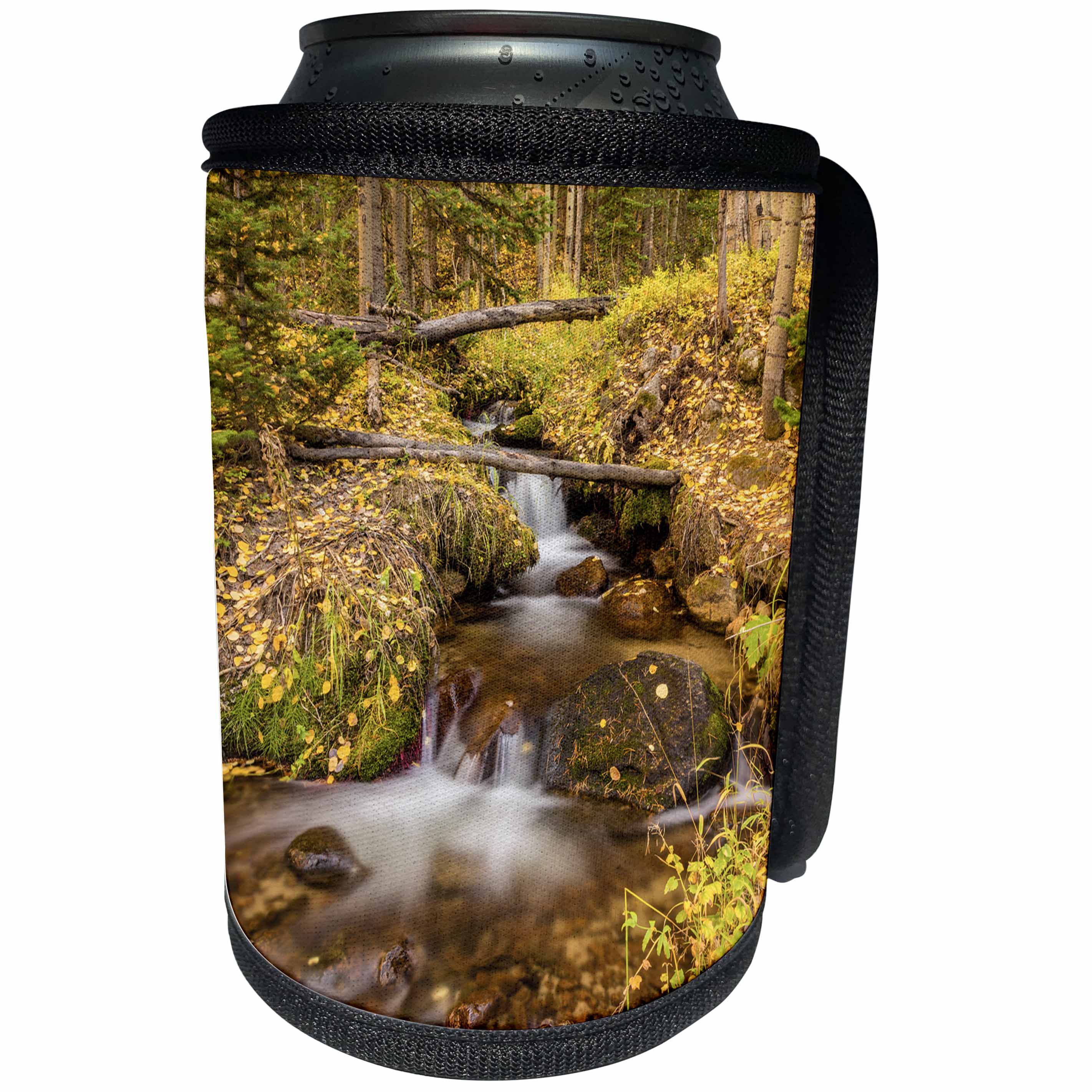 3dRose Danita Delimont - Rivers - USA, Colorado, Rocky Mountain NP. Waterfall in forest scenic. - Can Cooler Bottle Wrap (cc_278740)