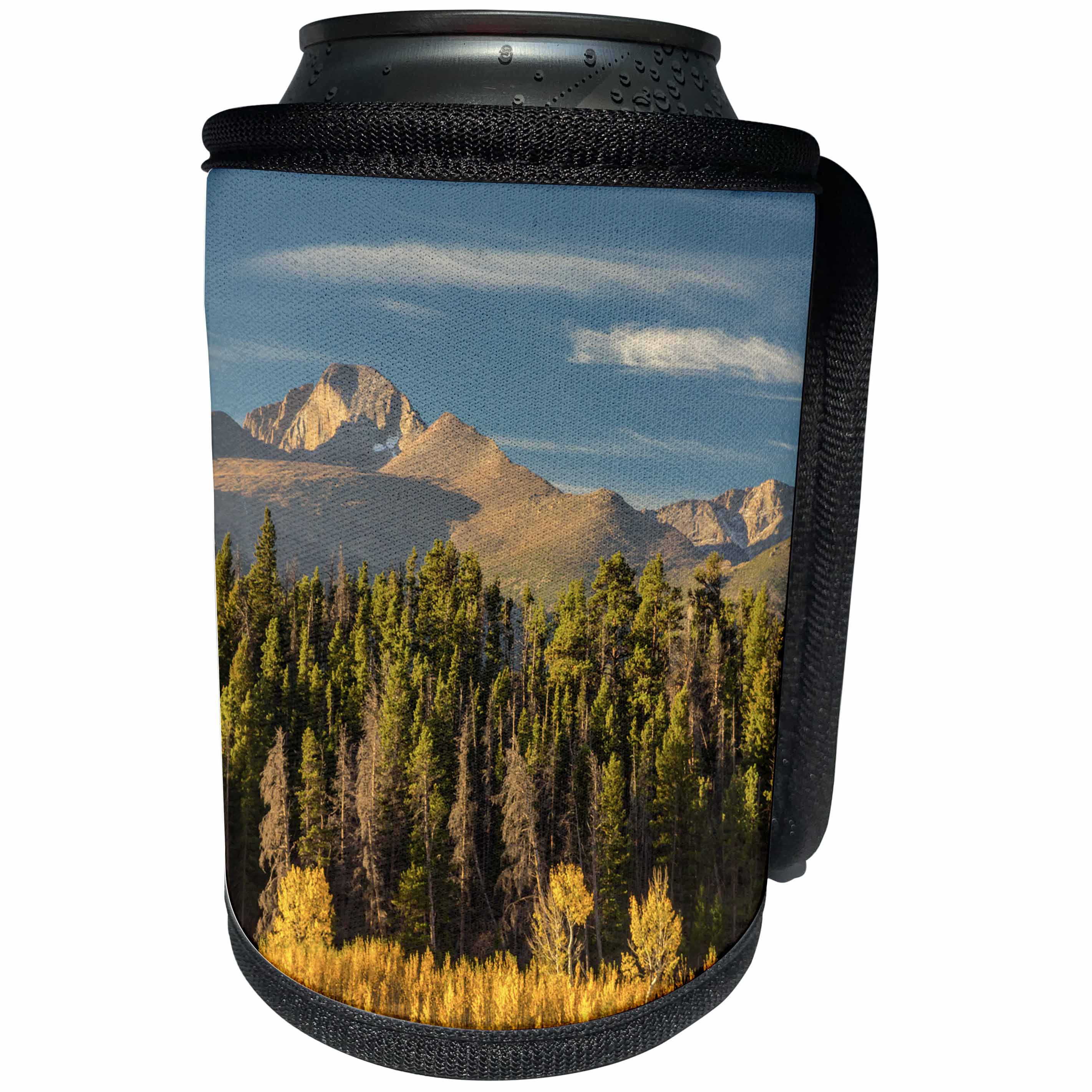 3dRose Danita Delimont - Forests - USA, Colorado, Rocky Mountain NP. Mountain and forest landscape. - Can Cooler Bottle Wrap (cc_278741)