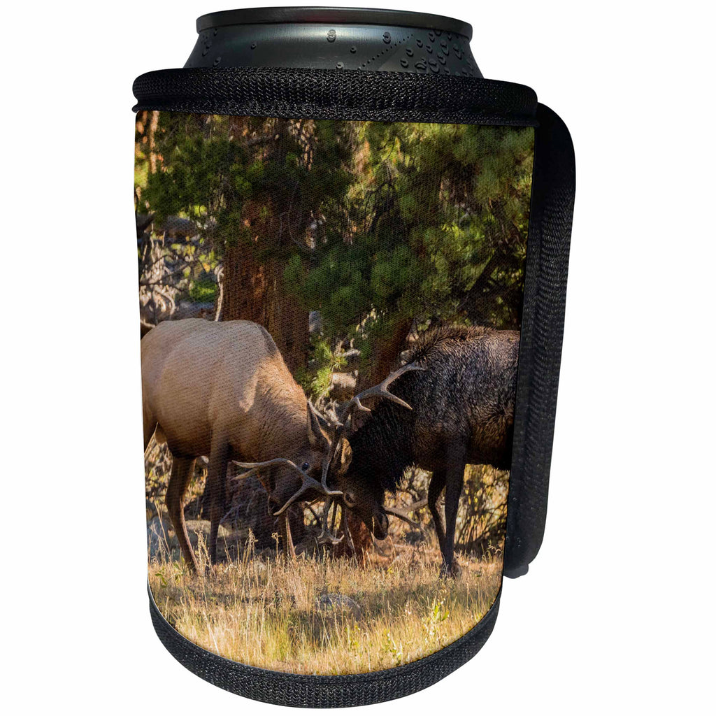 3dRose Danita Delimont - Elk - USA, Colorado, Rocky Mountain National Park. Male elks sparring. - Can Cooler Bottle Wrap (cc_278742)
