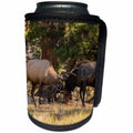 3dRose Danita Delimont - Elk - USA, Colorado, Rocky Mountain National Park. Male elks sparring. - Can Cooler Bottle Wrap (cc_278742)