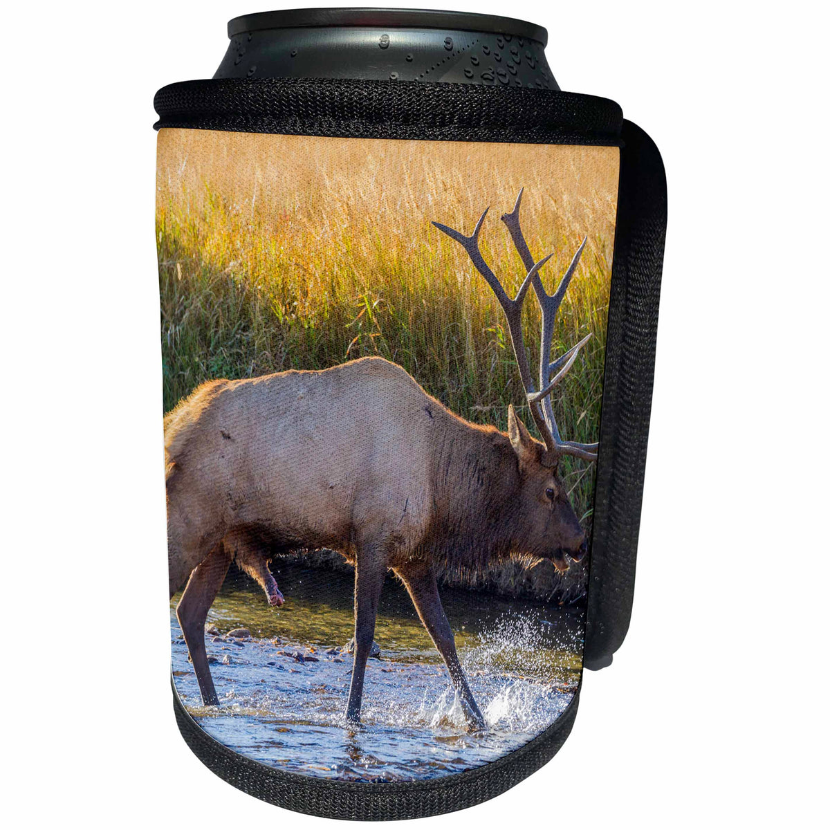 3dRose Danita Delimont - Elk - USA, Colorado, Rocky Mountain NP. Close up of male elk in stream. - Can Cooler Bottle Wrap (cc_278744)