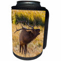 3dRose Danita Delimont - Elk - USA, Colorado, Rocky Mountain NP. Male elk bugling in grassland. - Can Cooler Bottle Wrap (cc_278745)