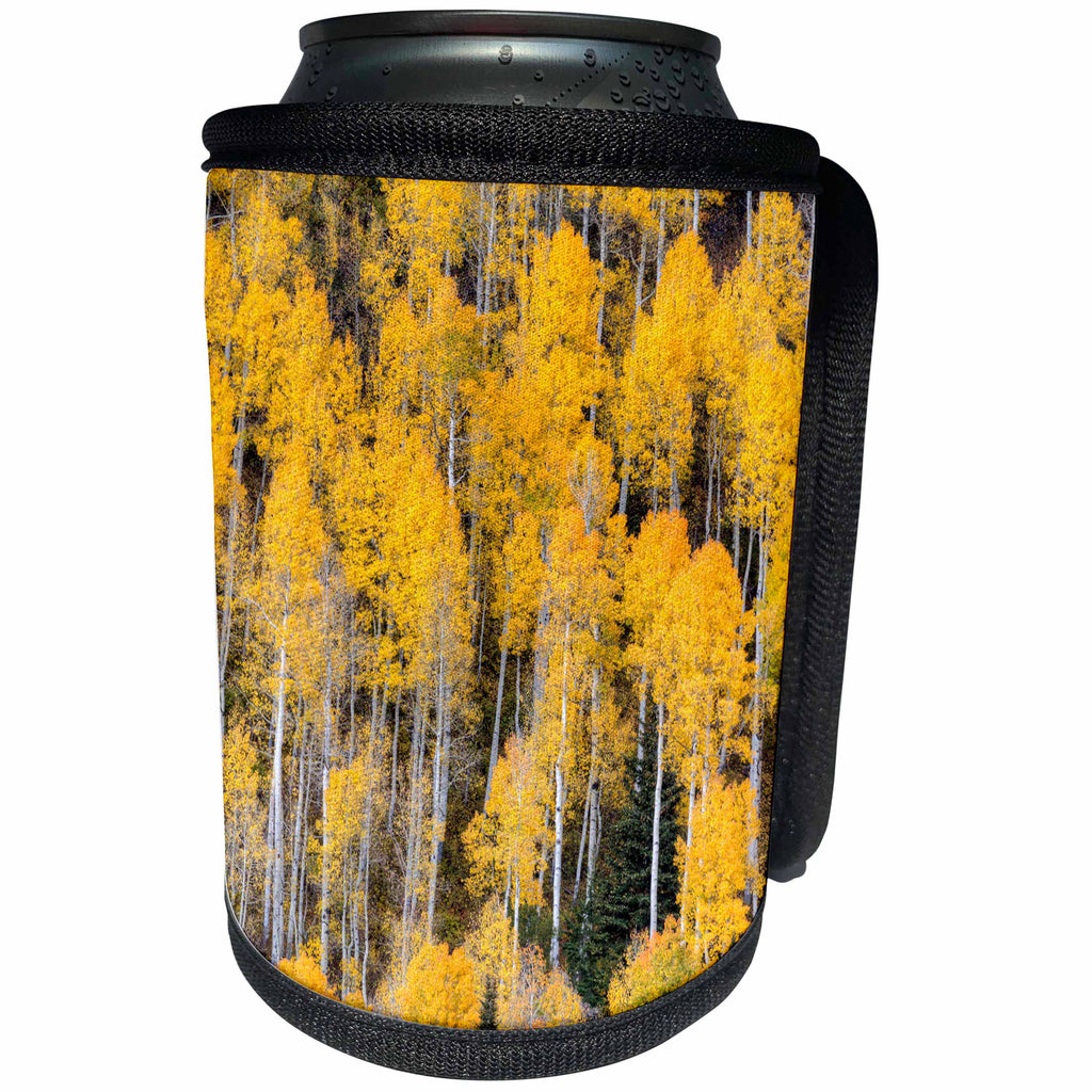3dRose Danita Delimont - Forests - USA, Colorado, Rocky Mountains. Aspen trees in autumn. - Can Cooler Bottle Wrap (cc_278748)