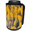 3dRose Danita Delimont - Forests - USA, Colorado, Rocky Mountains. Aspen trees in autumn. - Can Cooler Bottle Wrap (cc_278748)