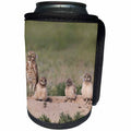 3dRose Danita Delimont - Owls - USA, Colorado, Pawnee National Grasslands. Burrowing owls at nest site - Can Cooler Bottle Wrap (cc_278777)