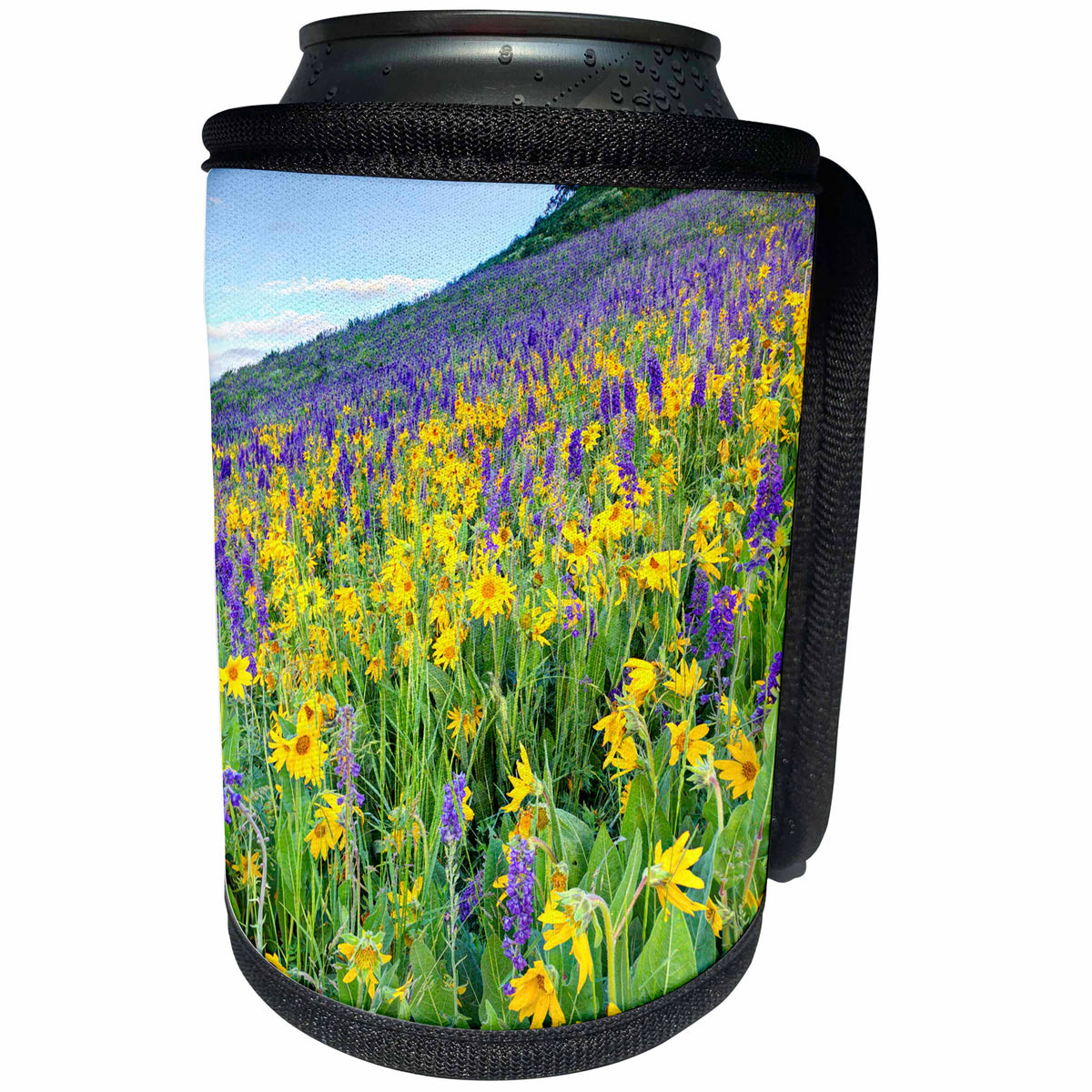 3dRose Danita Delimont - Flowers - USA, Colorado, Crested Butte. Wildflowers covering hillside. - Can Cooler Bottle Wrap (cc_278779)