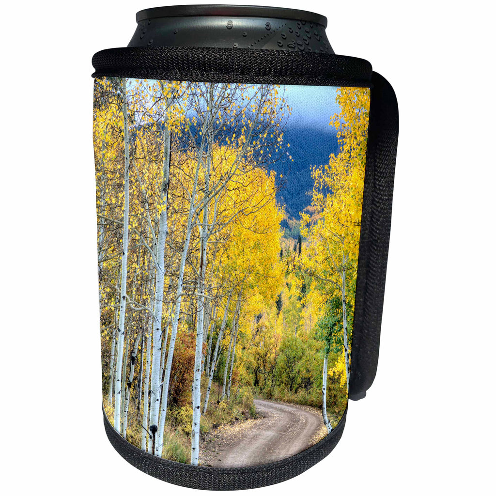 3dRose Danita Delimont - Roads - USA, Colorado, San Juan Mountains. Road through aspen forest. - Can Cooler Bottle Wrap (cc_278783)