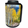 3dRose Danita Delimont - Roads - USA, Colorado, San Juan Mountains. Road through aspen forest. - Can Cooler Bottle Wrap (cc_278783)