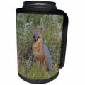 3dRose Danita Delimont - Foxes - USA, Colorado, Pike National Forest. Gray fox close up. - Can Cooler Bottle Wrap (cc_278789)