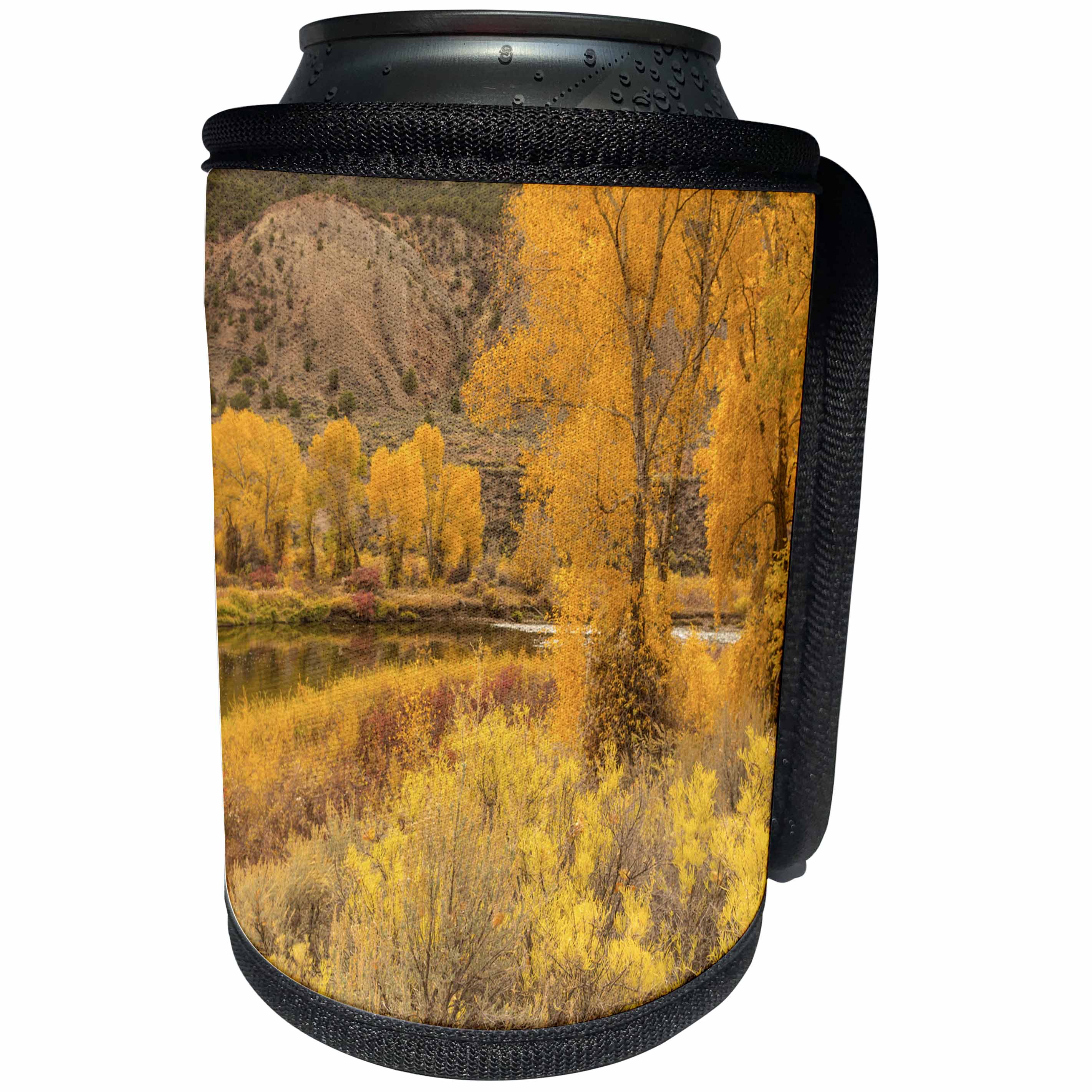 3dRose Danita Delimont - Forests - USA, Colorado, Eagle River. Cottonwoods in fall color and river. - Can Cooler Bottle Wrap (cc_278791)